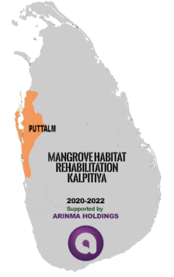 Rehabilitating mangrove habitats in Kalpitiya