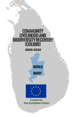 Livelihood and Biodiversity Recovery in the Knuckles