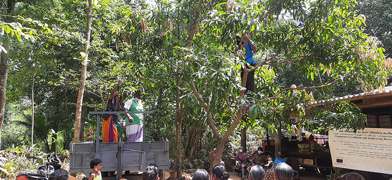 Villagers pruning their trees