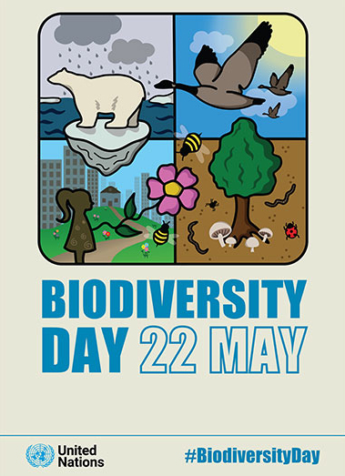 World Biodiversity Day 2022