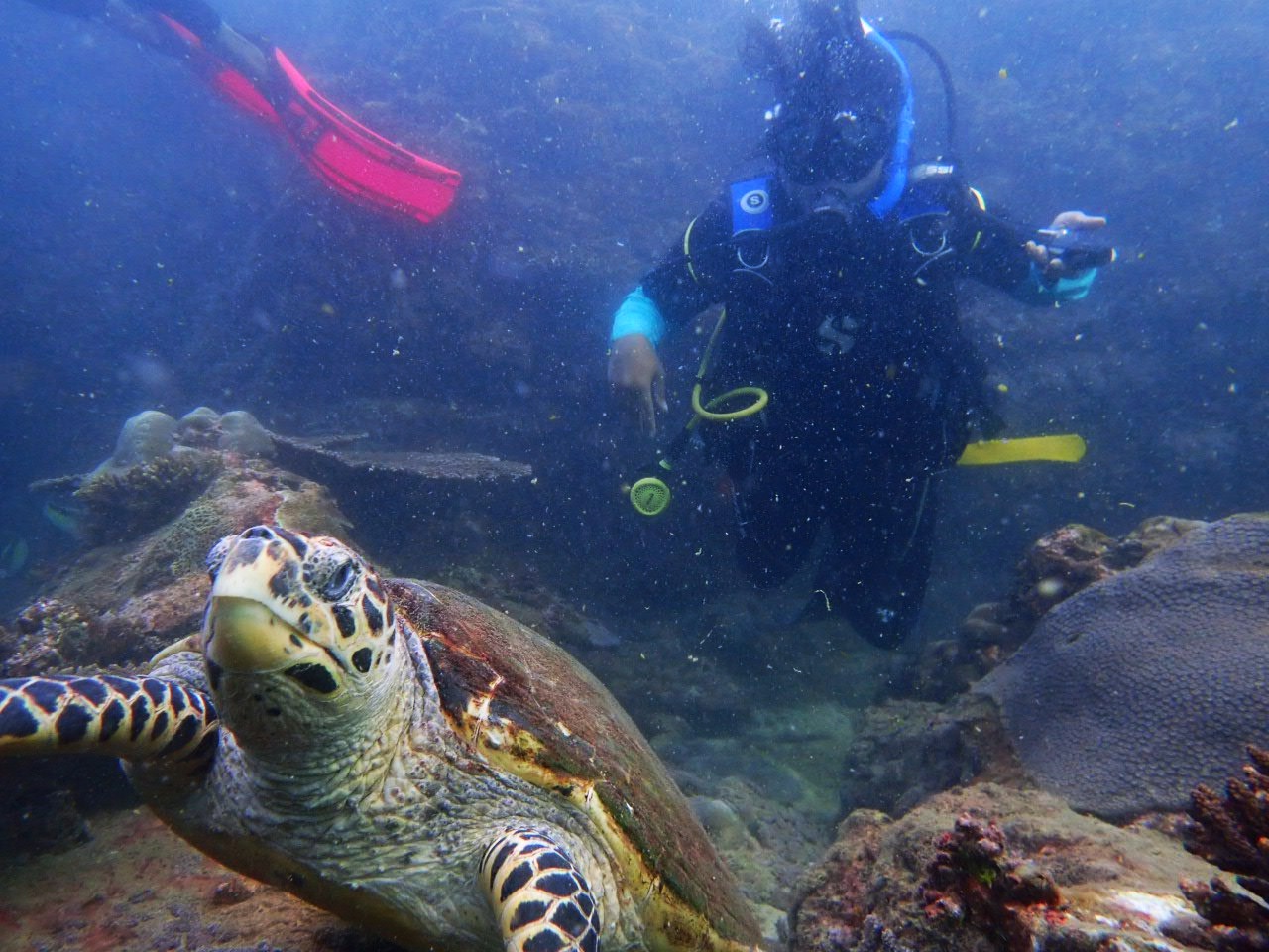 IMG_20230821_132334_225