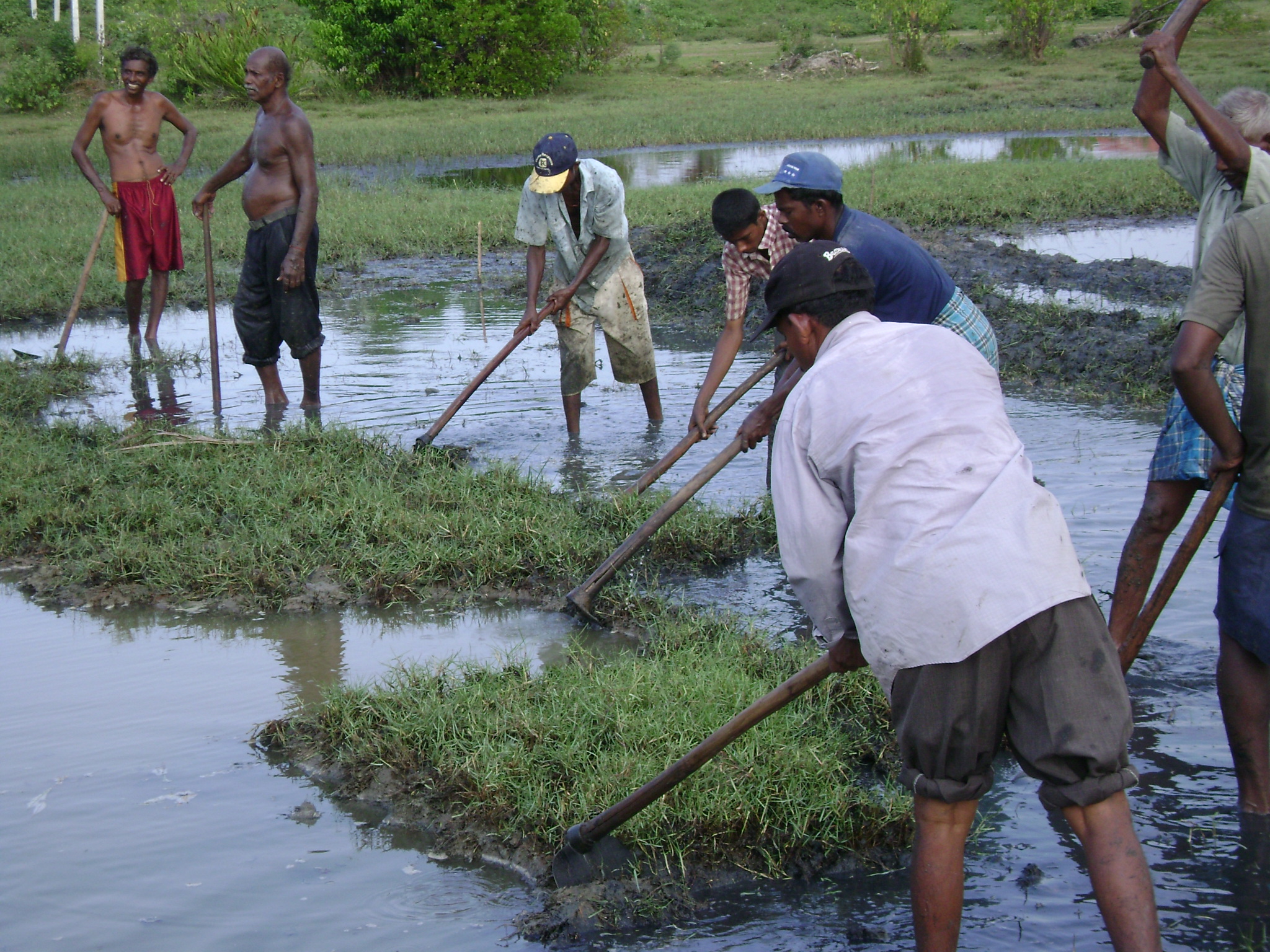 Mandru -Mangroves - 20th (60)