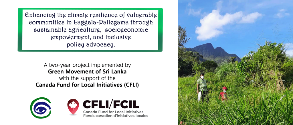 Field visit to Laggala-Pallegama